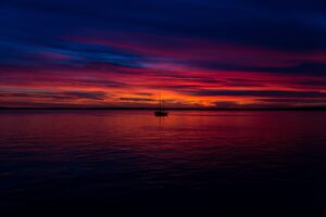 patrick-fore-26336-unsplash Sunset Copione Simulazione Tree Center Roma